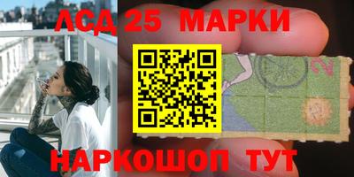 прущие крисы Будённовск