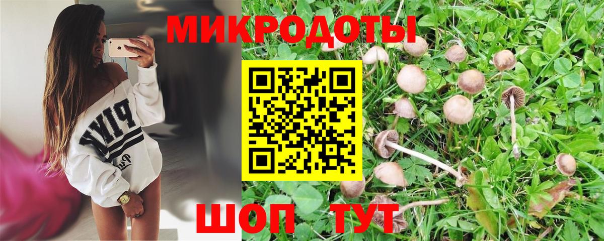 Псилоцибиновые грибы прущие грибы Арсеньев