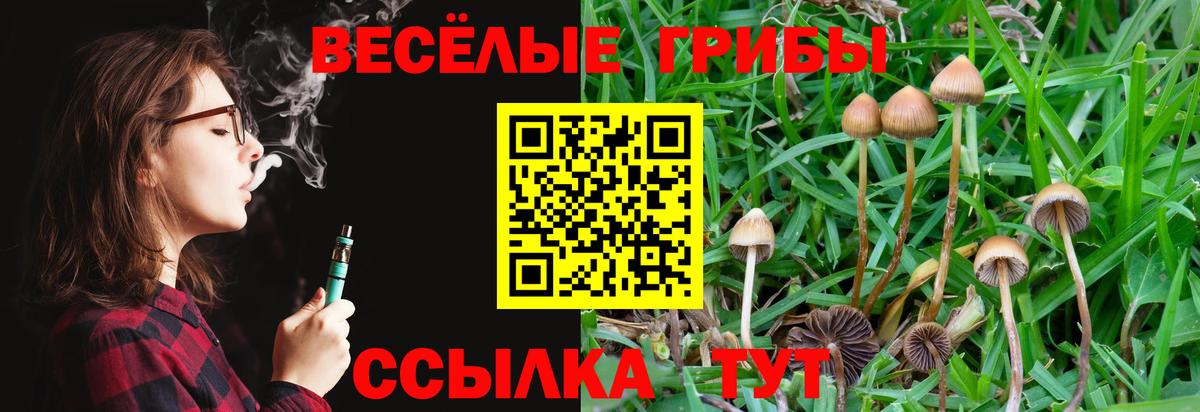 Псилоцибиновые грибы GOLDEN TEACHER  Вход с VPN  Псилоцибиновые грибы Psilocybine cubensis  Арсеньев 